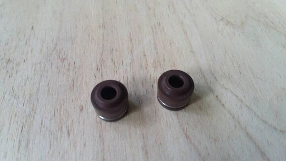 Колпачки маслосъемные (2шт.) YX1P56FMJ 140см3 pitbikemarket.ru